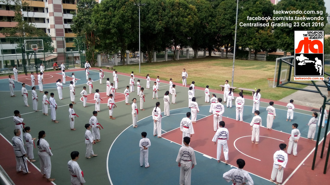 Black Belt Grading Ang Mo Kio Serangoon Thomson Newton Orchard Paya Lebar Katong Yishun Singapore Taekwondo Academy TKD STA