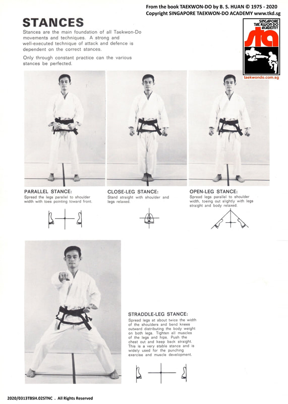 Ready Stance Junbi Attention Charyot Singapore Taekwondo Academy Yishun Northpoint City Sembawang Kinex Katong Paya Lebar Geylang Haig Sims Eunos Bedok Tampines Simei East Coast Marine Parade Recognised Kids Teens Children Family Class