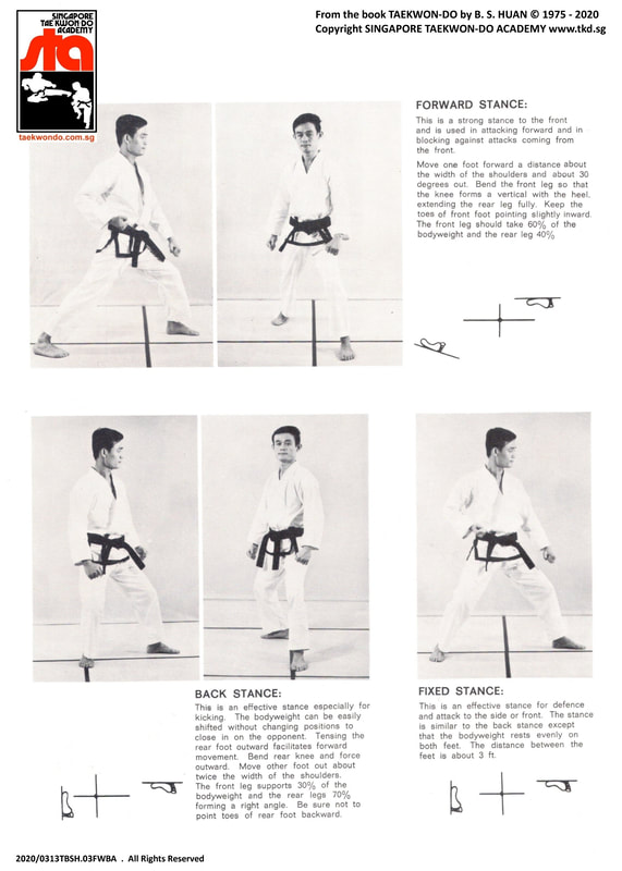 Forward Stance & Back Stance Singapore Taekwondo Academy Yishun Northpoint City Sembawang Kinex Katong Paya Lebar Geylang Haig Sims Eunos Bedok Tampines Simei East Coast Marine Parade Recognised Kids Teens Children Family Class