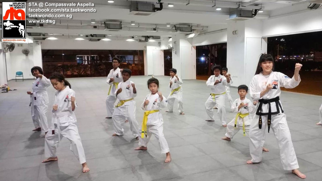 Compassvale Aspella Class, Black Belt Assistant Jewel Yu, with Senior Instructor Andrew Seck Singapore Taekwondo Academy STA