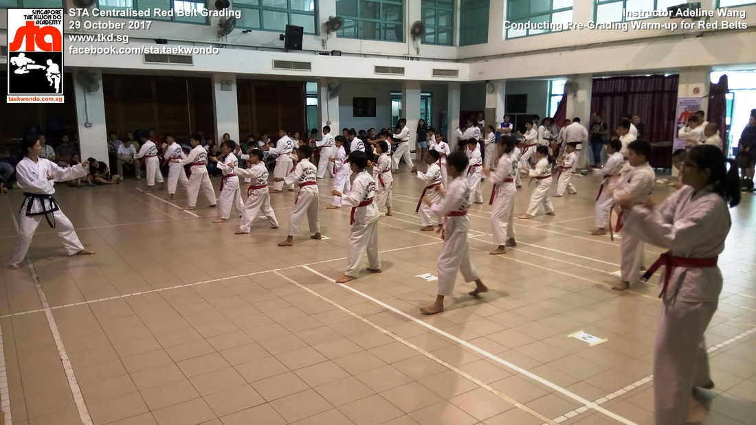Adeline Wang Centralised Grading 29 Oct 2017 Black Belt Colour Belt Singapore Taekwon-do Academy HQ Taekwondo STA International recognized