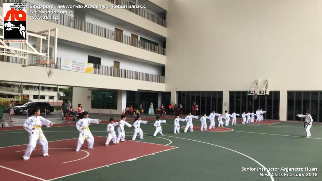 Anjanette Huan Kebun Baru Class Ang Mo Kio Yio Chu Kang Thomson Bishan Hougang Serangoon Singapore Taekwondo Academy TKD STA