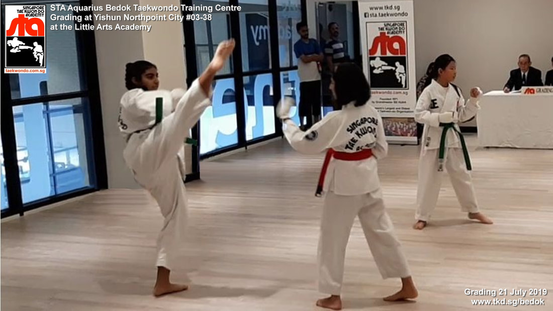 Grading Yishun Northpoint City #03-38 Little Arts Academy Aquarius Bedok Reservoir Singapore Taekwondo Academy Adrian Huan STA TKD