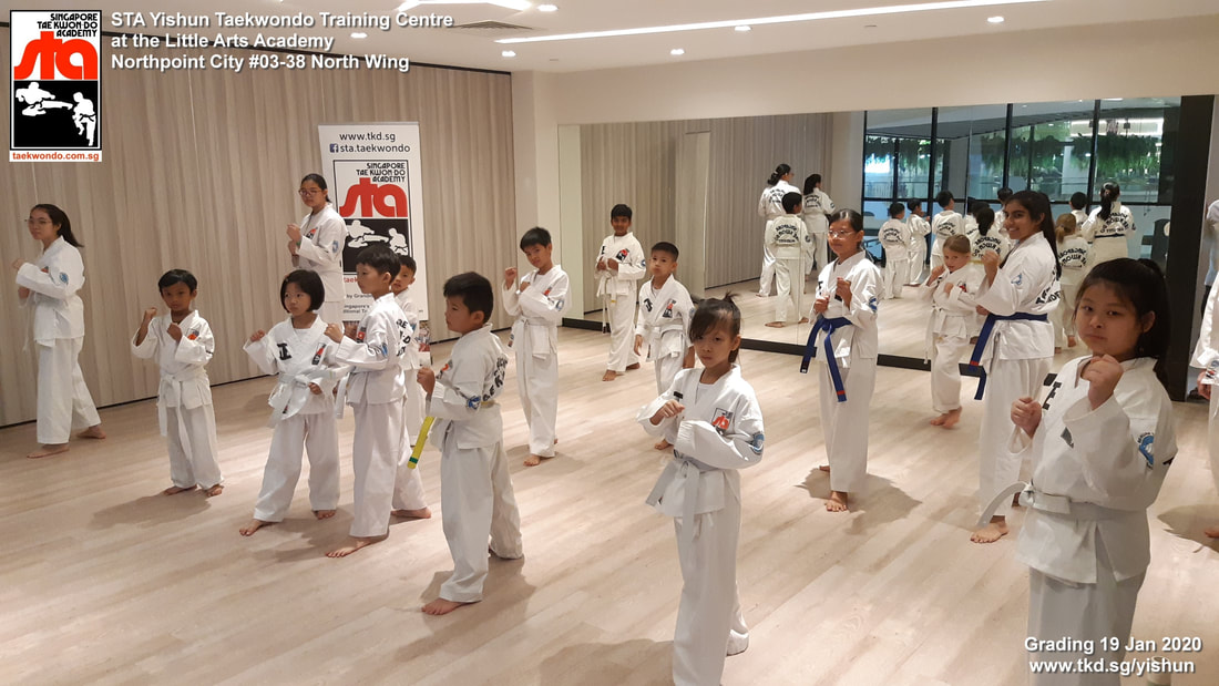Kids Teens Adults Class Yishun Northpoint City Sembawang Woodlands Khatib Canberra Sengkang Singapore Taekwondo Academy TKD