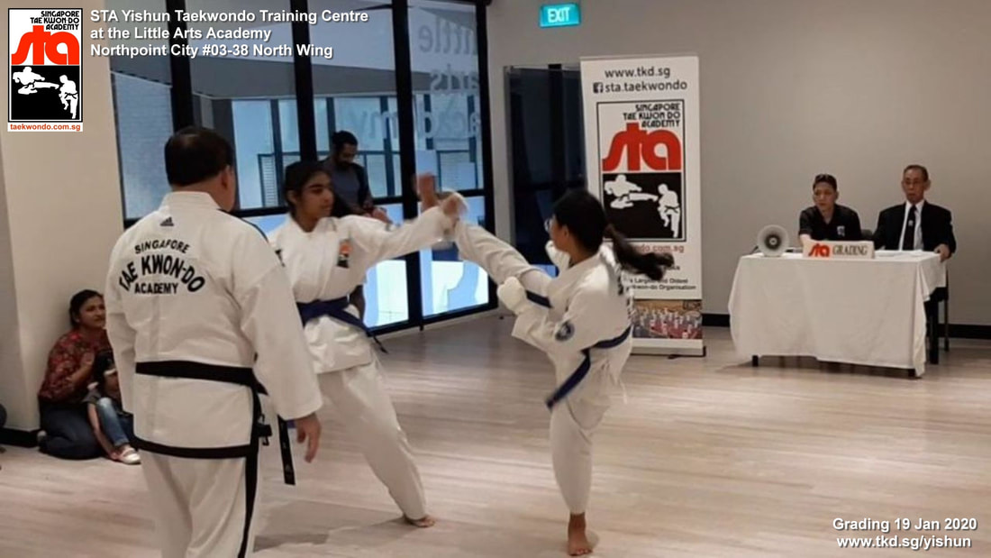 Free Sparring Grading STA Katong Kinex Mall #02-26 Distinct Creative Arts Studio Paya Lebar Sims Ave Haig Road Marine Parade East Coast SINGAPORE TAEKWONDO ACADEMY HQ TKD